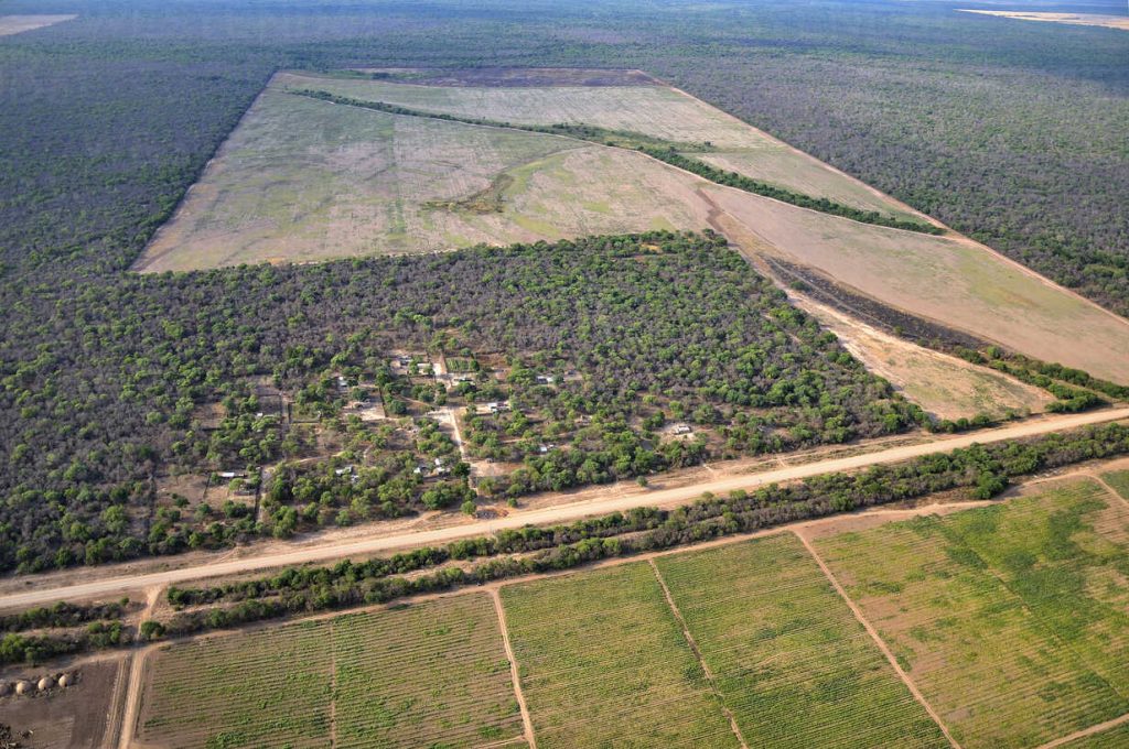 Deforestación en el Gran Chaco