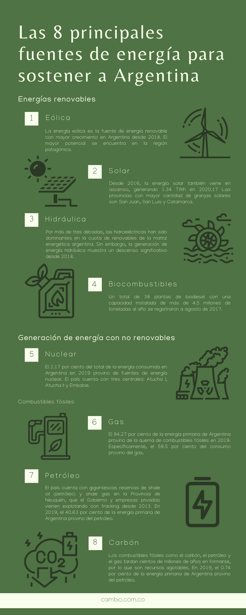 gráfico sobre Las 8 principales fuentes de energía para sostener a Argentina