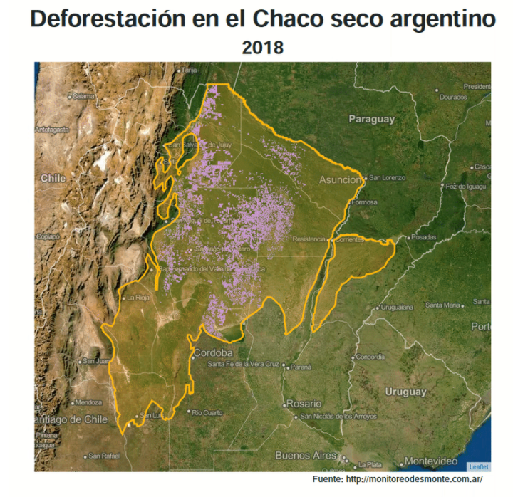 Deforestación en el bosque chaqueño argentino