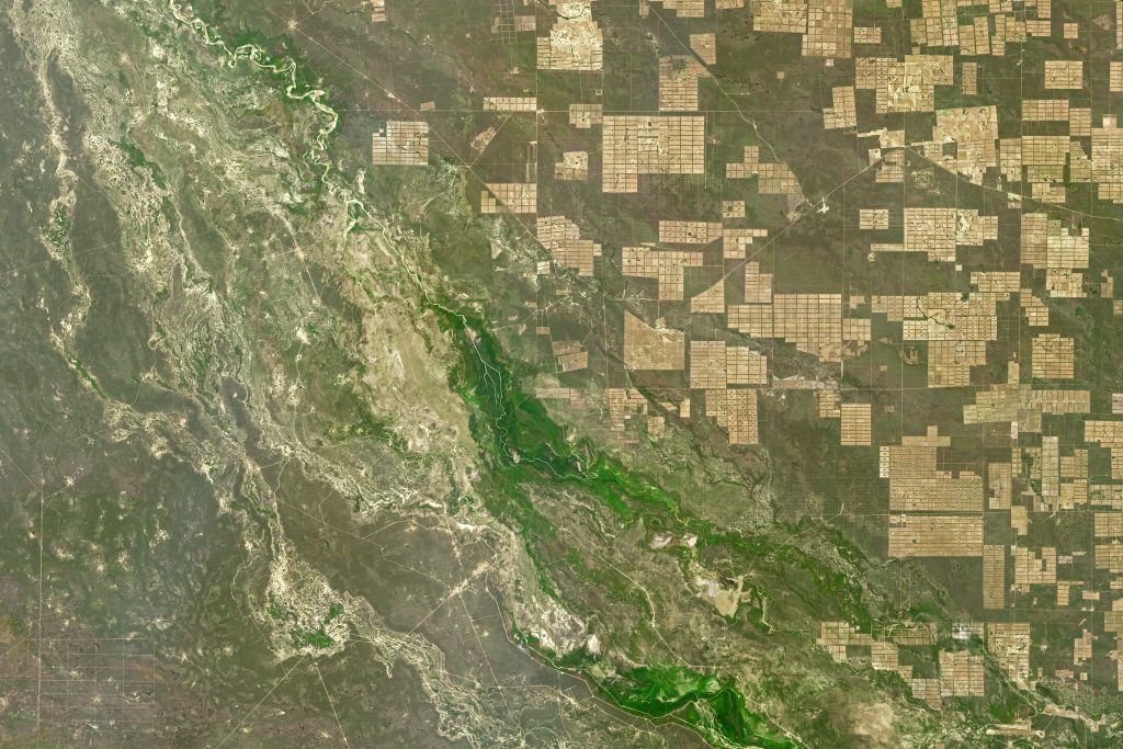 Deforestación en el Gran Chaco paraguayo