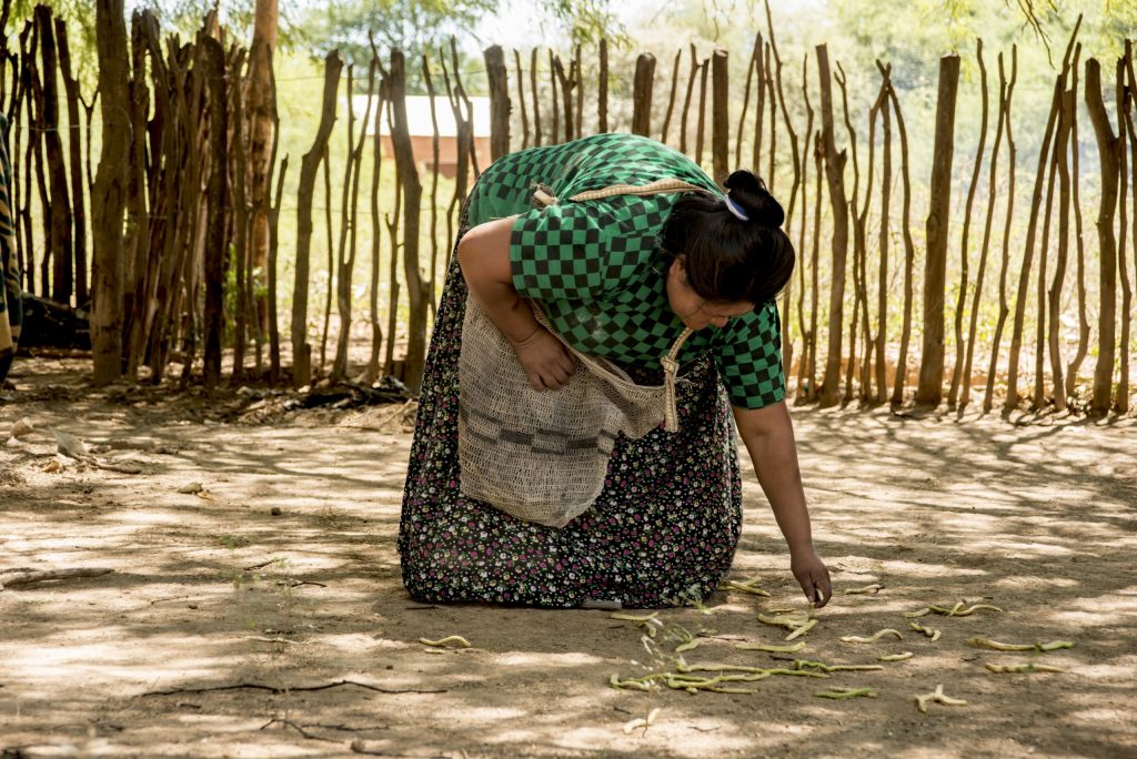 Mujer participando en actividades económicas de pueblos originarios del Chaco