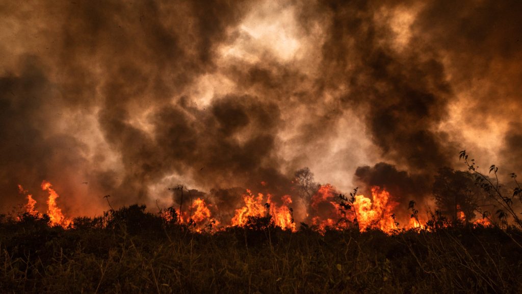Incendios forestales en Pantanal
