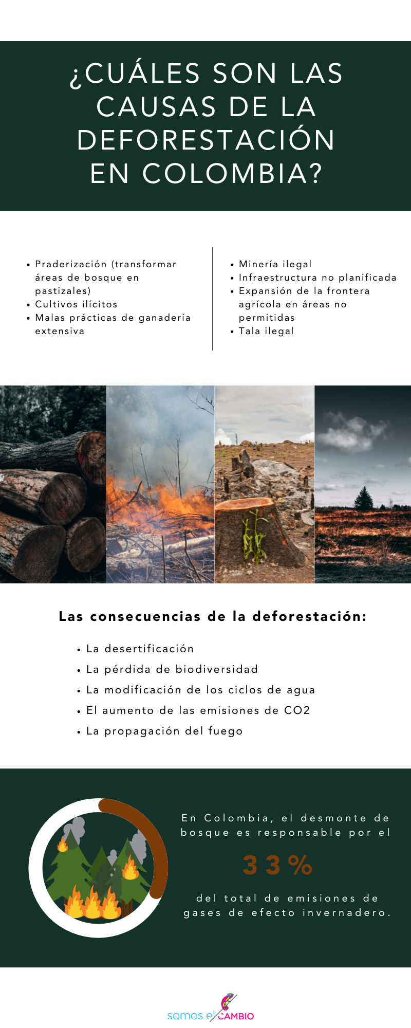 ¿Cuáles son las causas de la deforestación en Colombia?