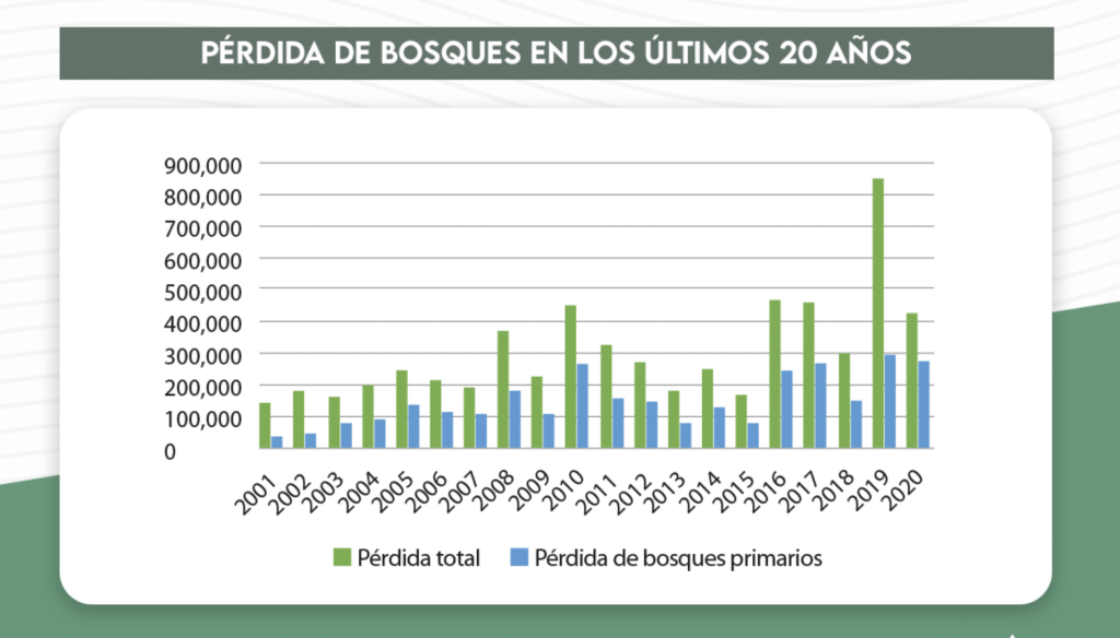 gráfico sobre la Deforestación en Bolivia
