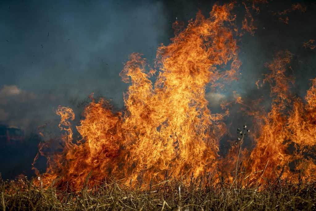 imagen de un Incendio forestal: Motor de deforestación en Bolivia