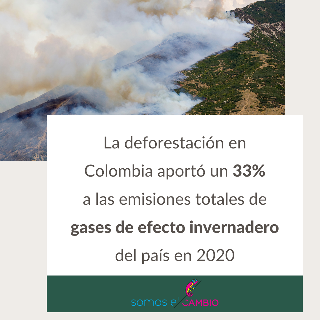 infográfico sobre la deforestación en Colombia