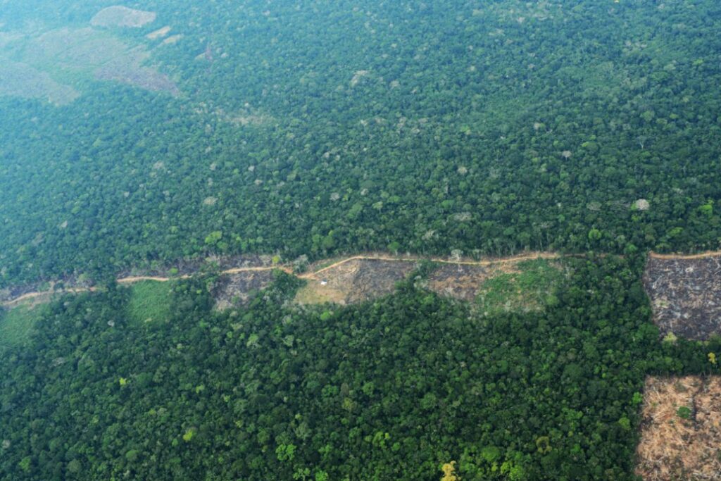 imagen de la deforestación en la Amazonía colombiana