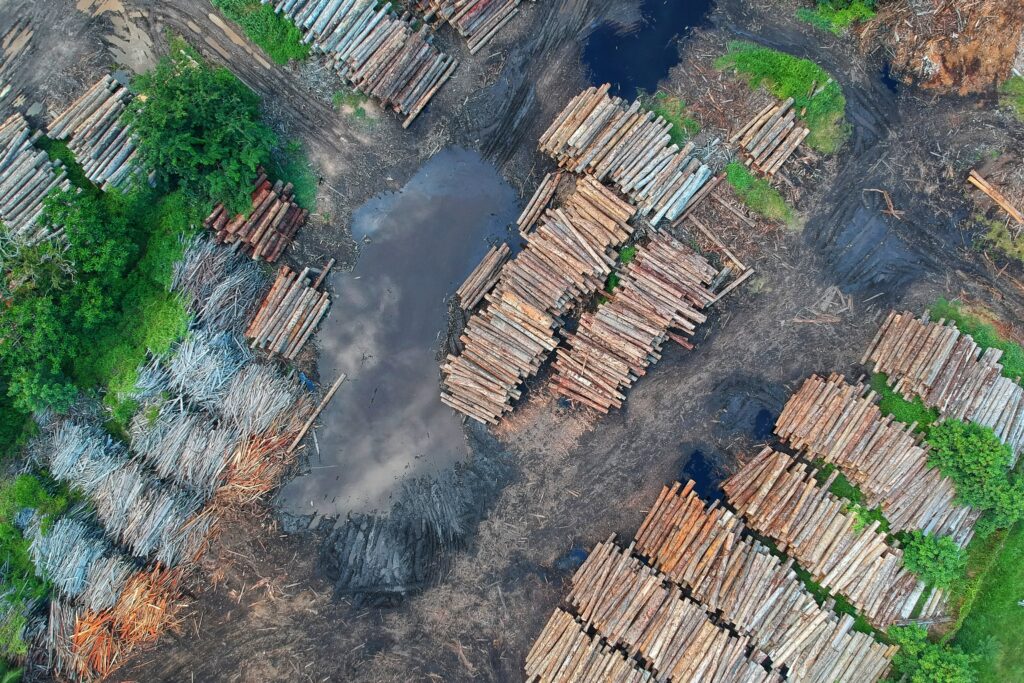 Deforestación a nivel mundial