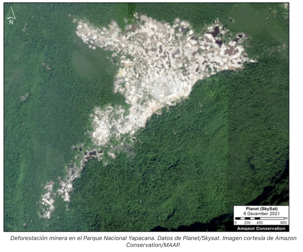 Deforestación de bosques por minería en Venezuela