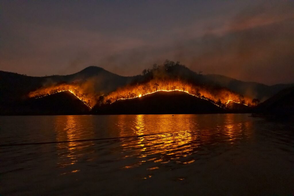 Incendios y otras consecuencias ambientales de la deforestación