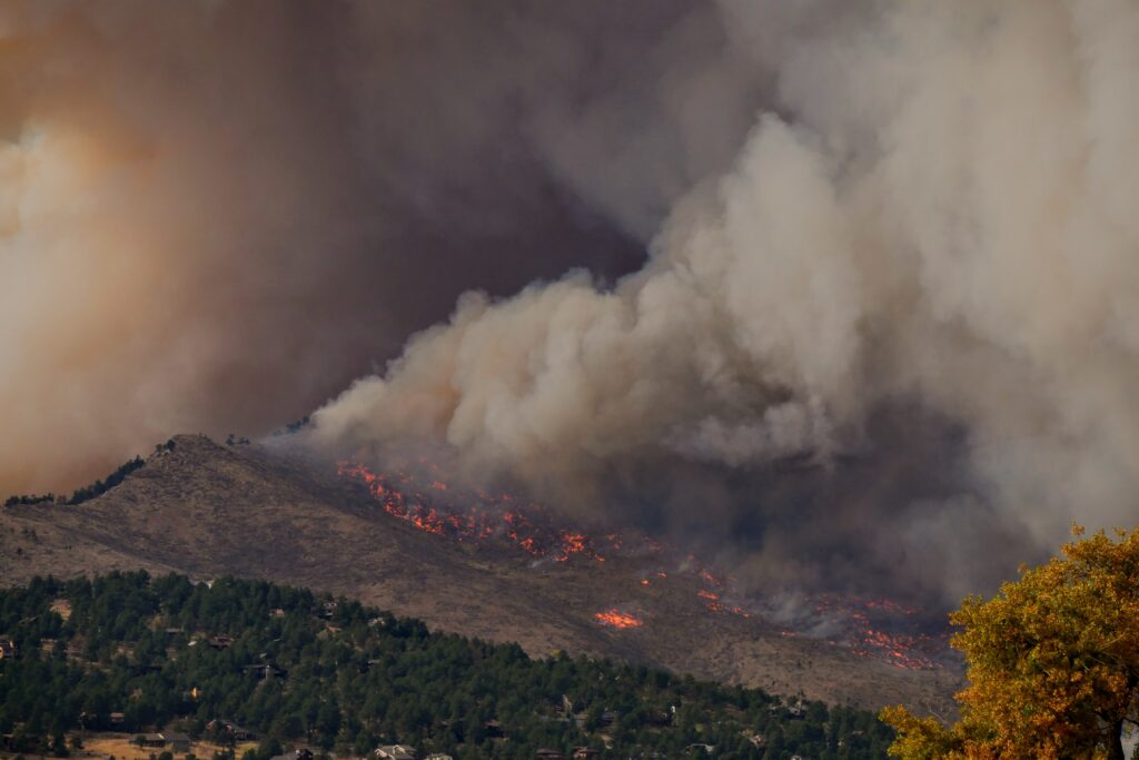 Los incendios forestales se ven agravados por el calentamiento global. 