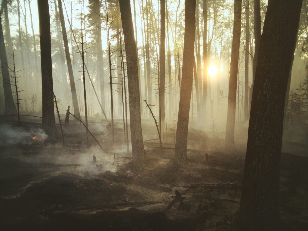 incendios forestales y su impacto en Argentina