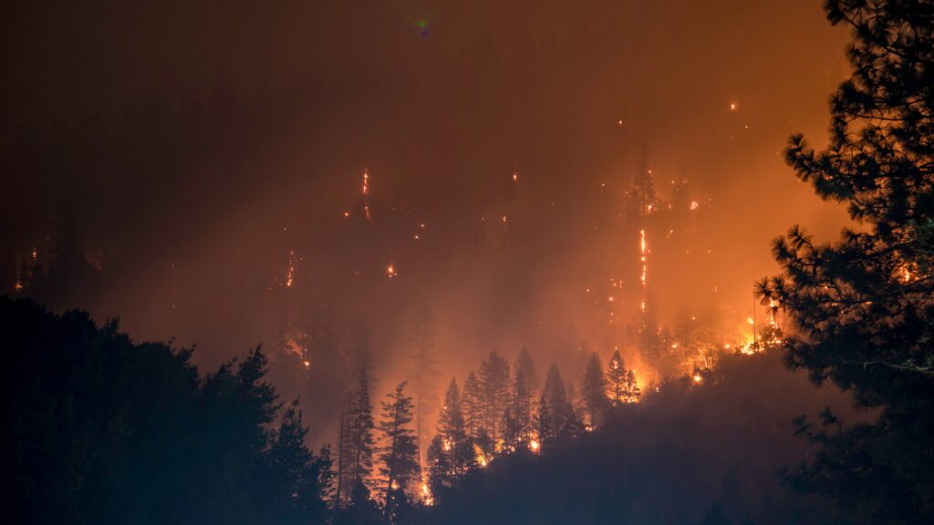 Incendios forestales en Argentina