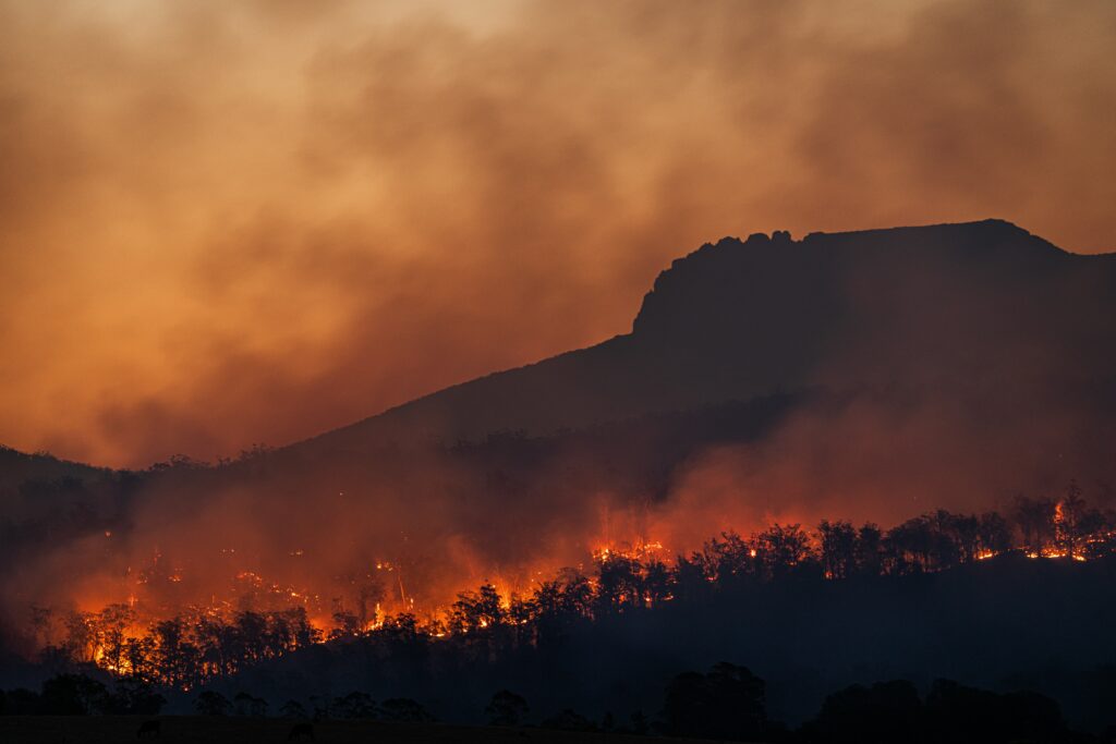 Incendios forestales en Argentina.