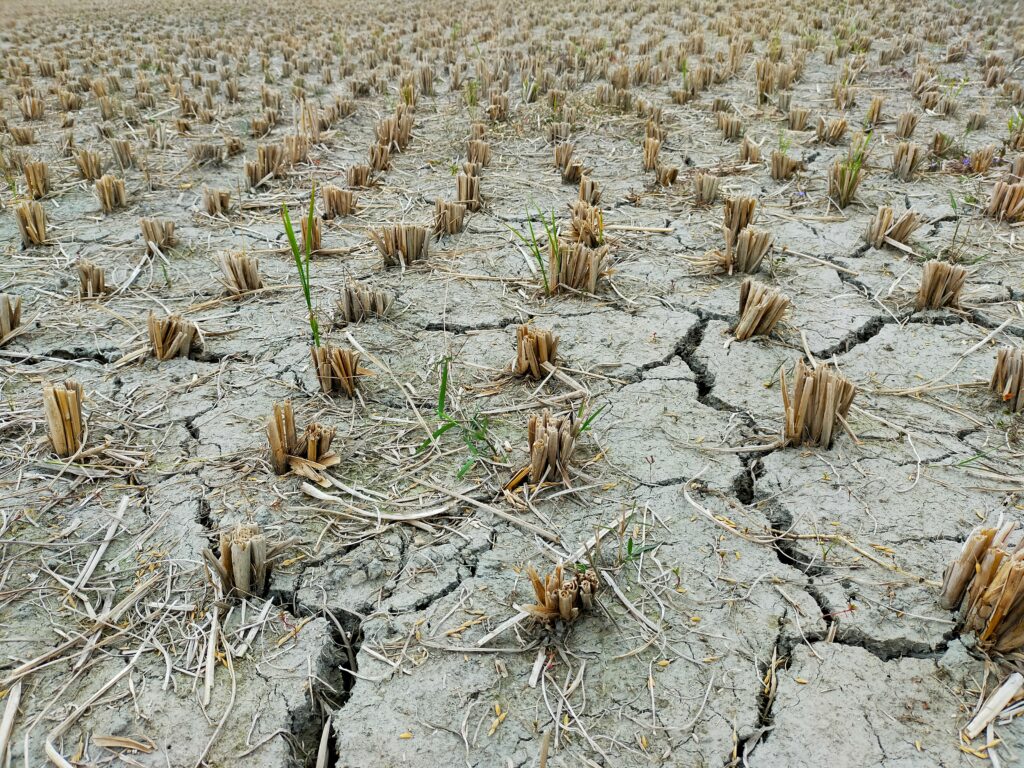 sequía en Argentina y sus consecuencias