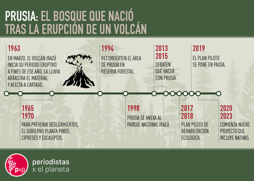 El bosque de Prusia en Costa Rica nació de la erupción de un volcán