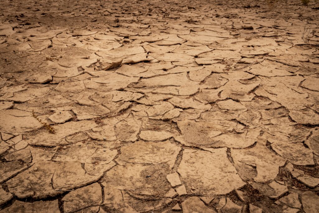 Las consecuencias de la sequía en Uruguay