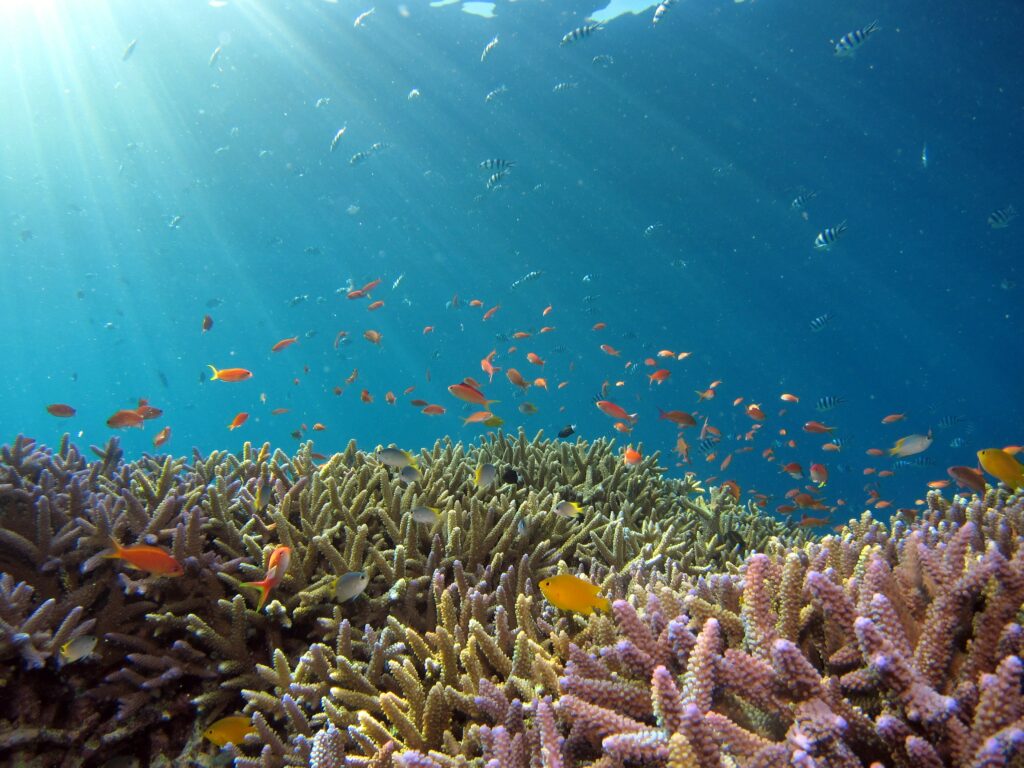 los océanos mantienen la vida en la tierra