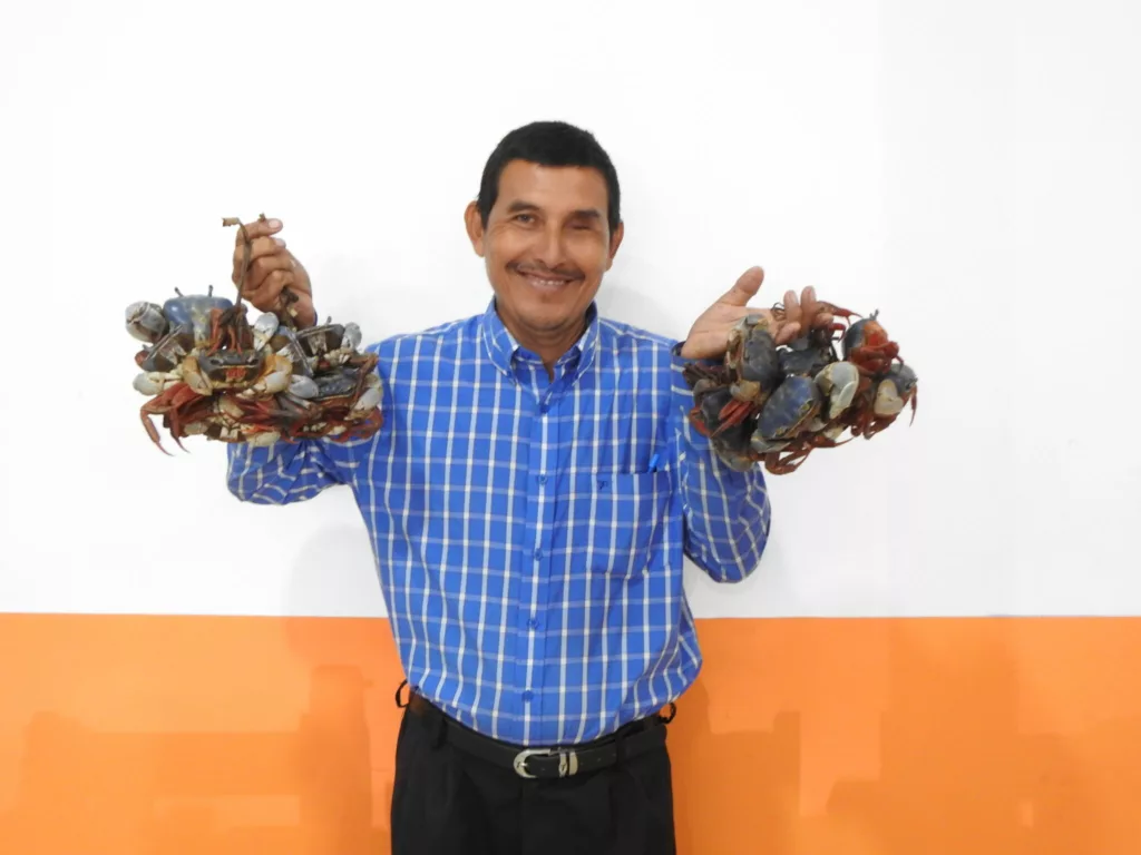 El cangrejo azul es fundamental para los ecosistemas en El Salvador