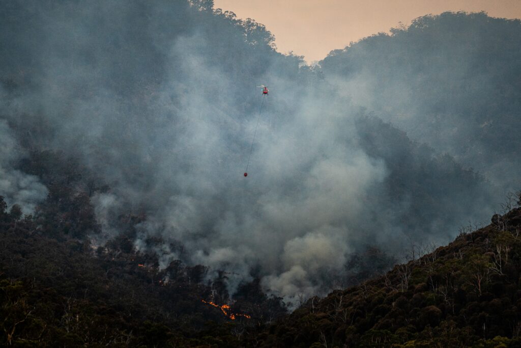 los incendios forestales tienen causas naturales, humanas y climáticas