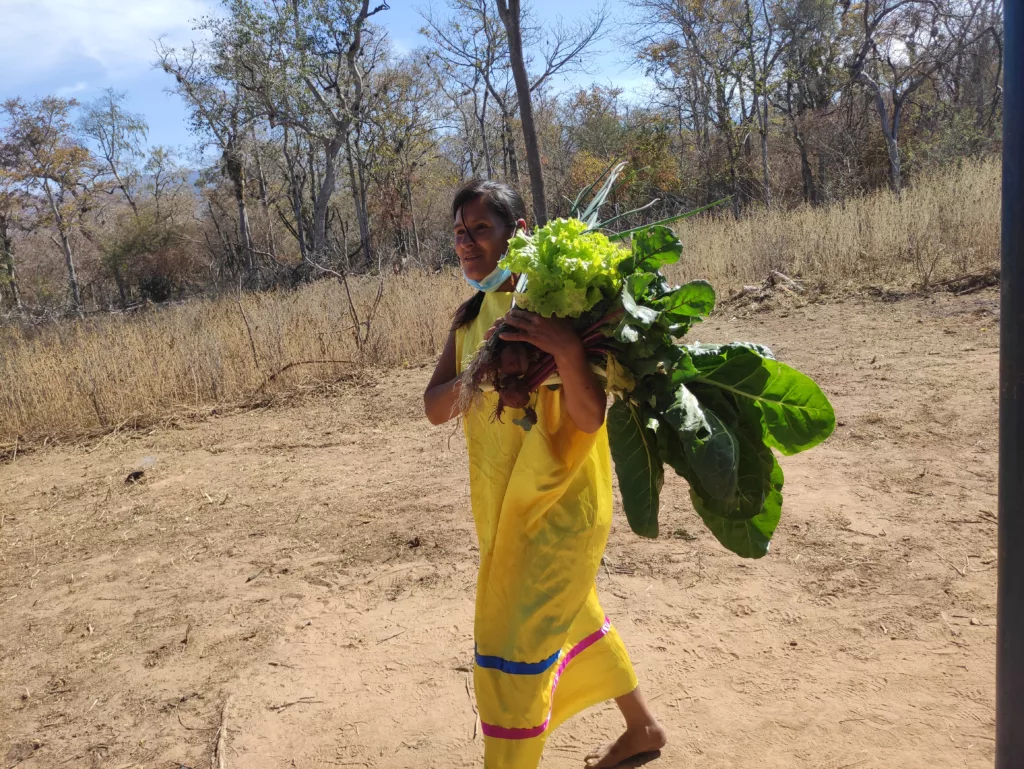Comunidades indígenas del Chaco boliviano crean un innovador modelo de producción