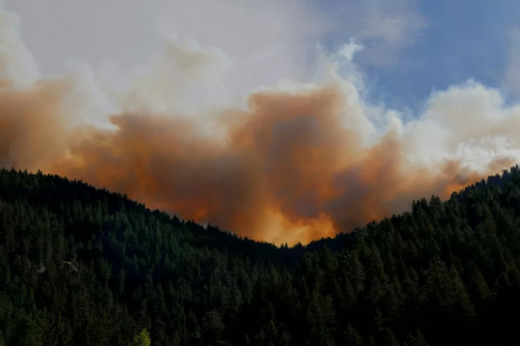 las olas de calor generan incendios forestales