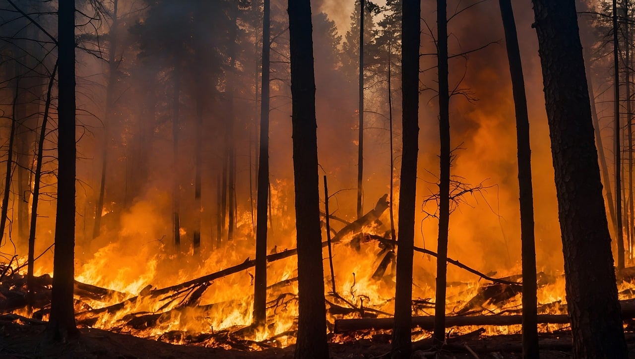 impactos climáticos en América latina