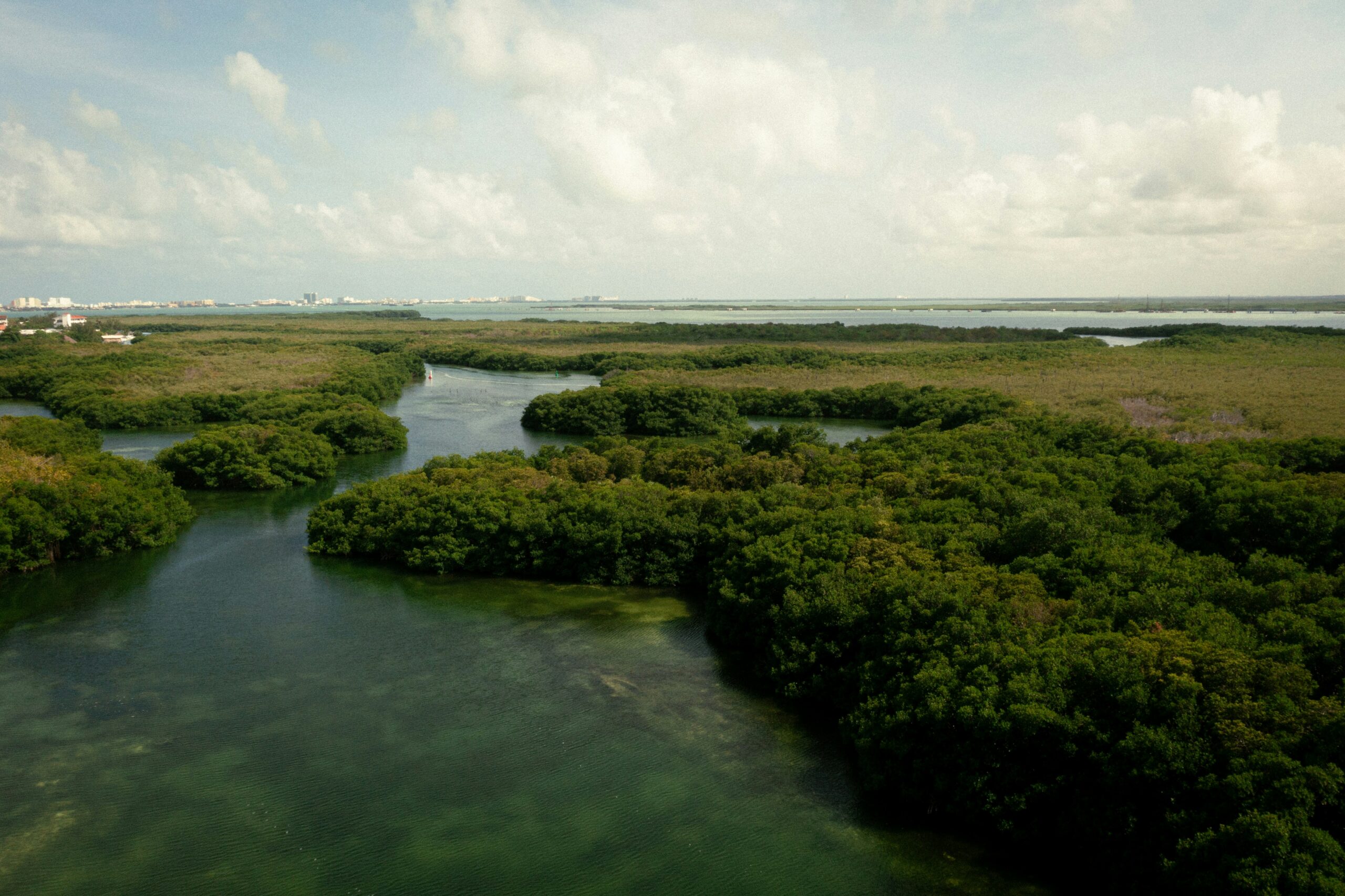 soluciones basadas en la naturaleza